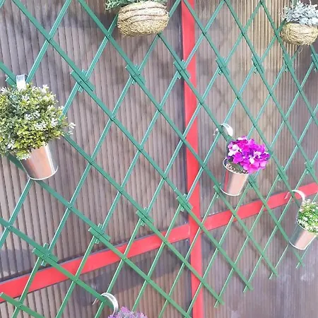 A Escardia * Vilagarcia de Arousa